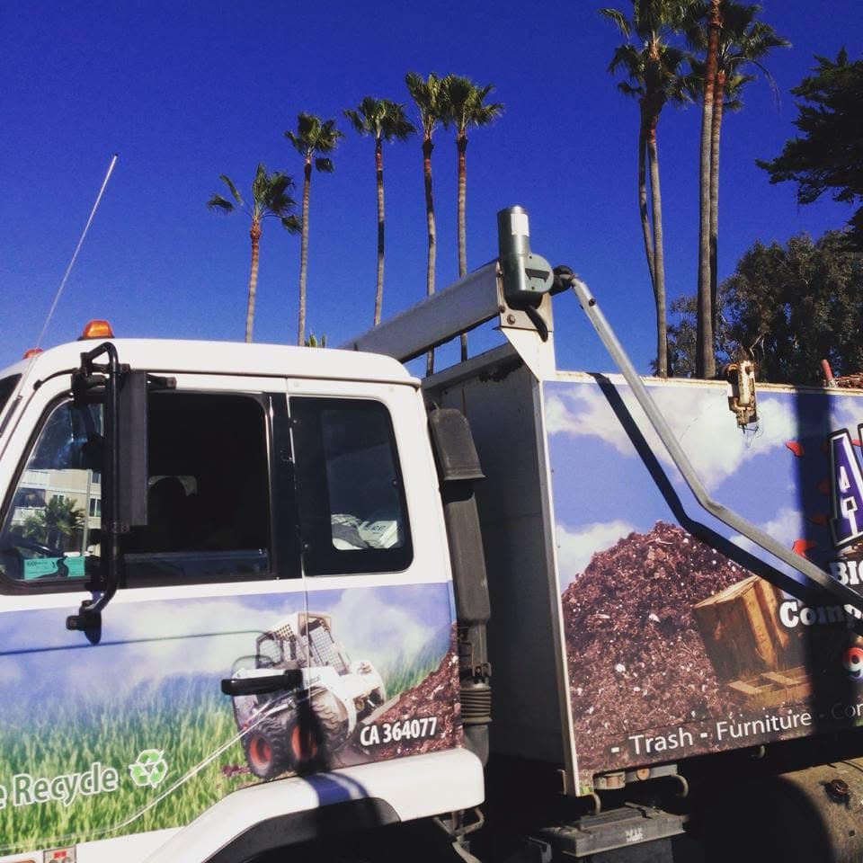Close-up of the All Haul truck cab with palm trees in the background