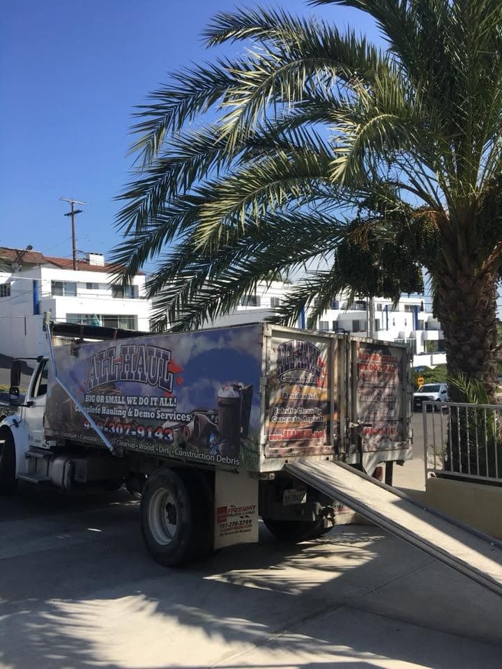 All Haul truck parked under a palm tree near the coast